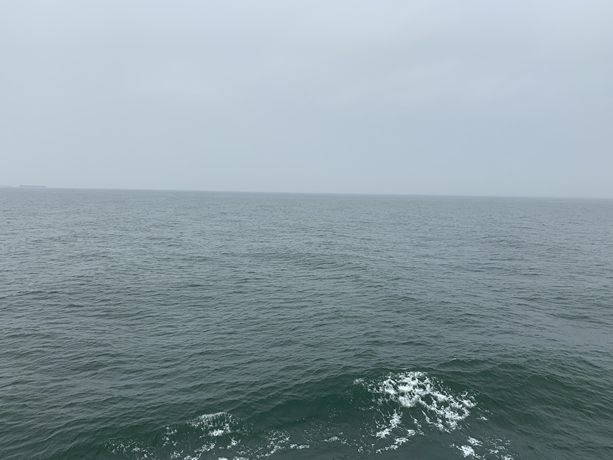1562954605158228.jpg 2432.jpg